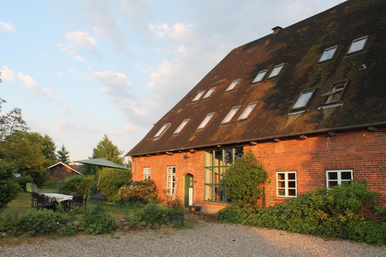 Das Abendrote Haus Gomnitz Eksteriør billede